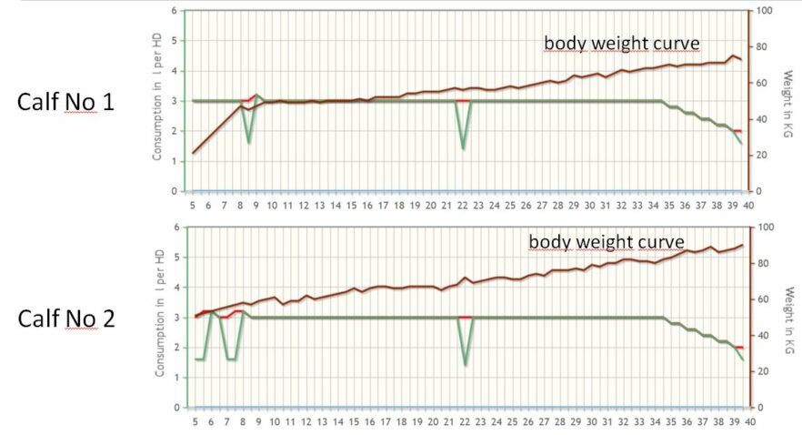 Printout of the weight curve from the calf feeder (CF)