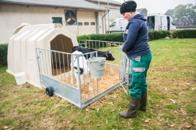 Landwirtin betritt die TwinHutch durch den geöffneten FlexyFence