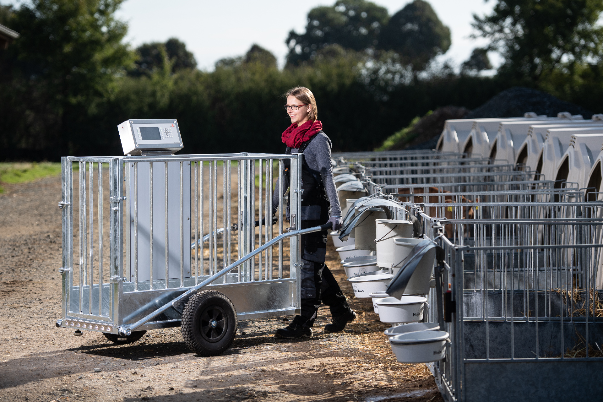 Leichter Transport der mobilen Durchtreibewaage