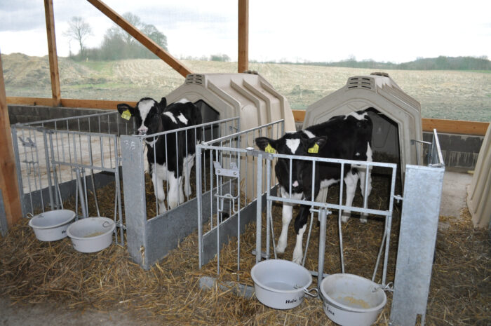 Auf diesem Bild sind zwei nebeneinanderstehende Calf-Tel-Hütten mit FlexyFence zu sehen.