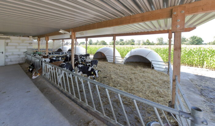 This picture shows a diagonal feed fence in front of an IglooSystem.
