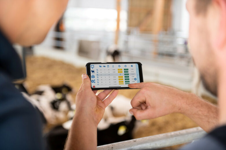 Auf diesem Bild ist ein Smartphone mit CalfGuide-App zu sehen. Die App zeigt Kälberdaten an.