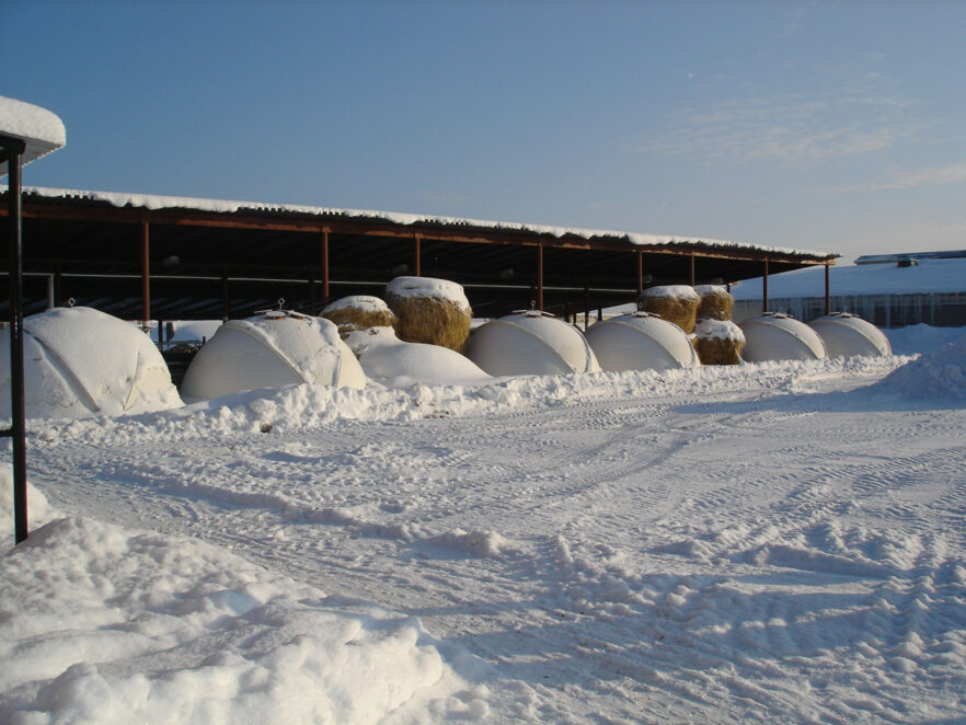 6 Großraumiglus im Schnee von Russland