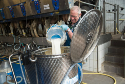 Mann füllt Milch aus Eimer in ein MilchTaxi