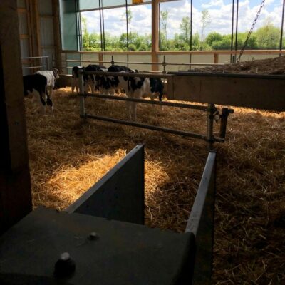 Looking across the HygieneStation to the calves