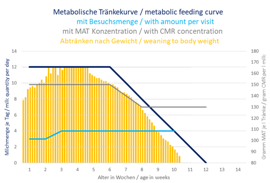 Absetzverhalten eines Kalbes an metabolischer Tränkekurve beim Absetzen nach Körpergewicht.