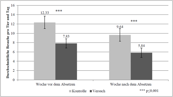 7. Besuche „ohne Anrecht