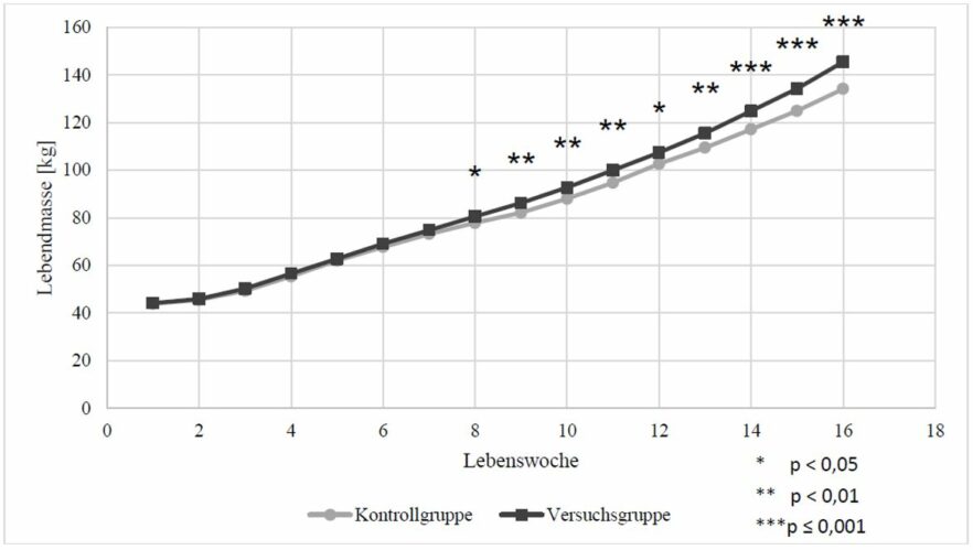 2. Lebendmasseentwicklung der Versuchstiere