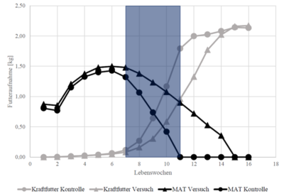 Two curves show CMR consumption and two curves show concentrate consumption, the blue zone shows the weaning phase of the control group.