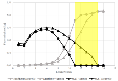 zwei Kurven zeigen den MAT Verbrauch und zwei Kurven zeigen den KF Verbrauch, eine gelbe Zone zeigt die Absetzphase der Versuchsgruppe