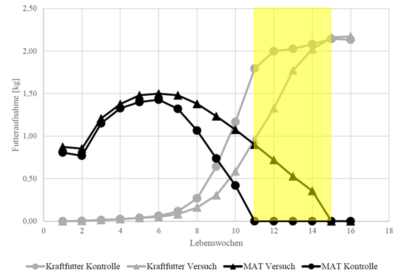 Two curves show CMR consumption and two curves show concentrate consumption, the yellow zone shows the weaning phase of the control group.