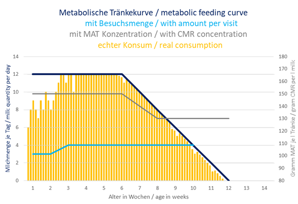 Tränkeverzehr bei metabolischer Tränkekurve mit ansteigendem Abruf in den ersten 3 Wochen.