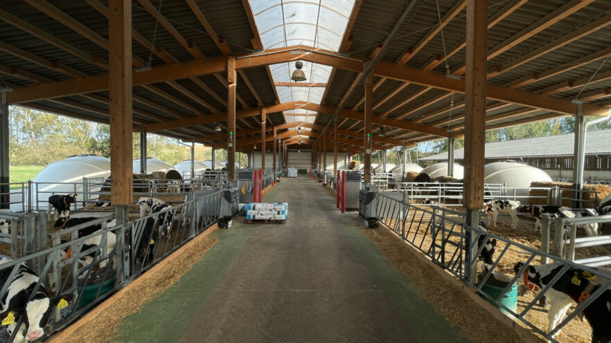 The whole barn with gable