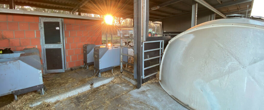 HygieneStations with Igloo bathed in sunlight