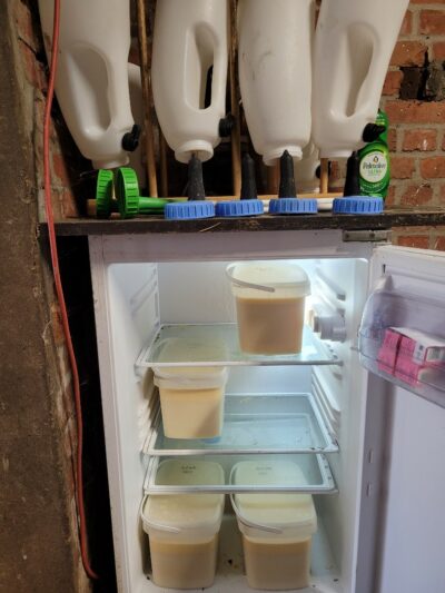 Refrigerator with stored colostrum