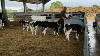 Rob Colling Cobbler Farm (5)