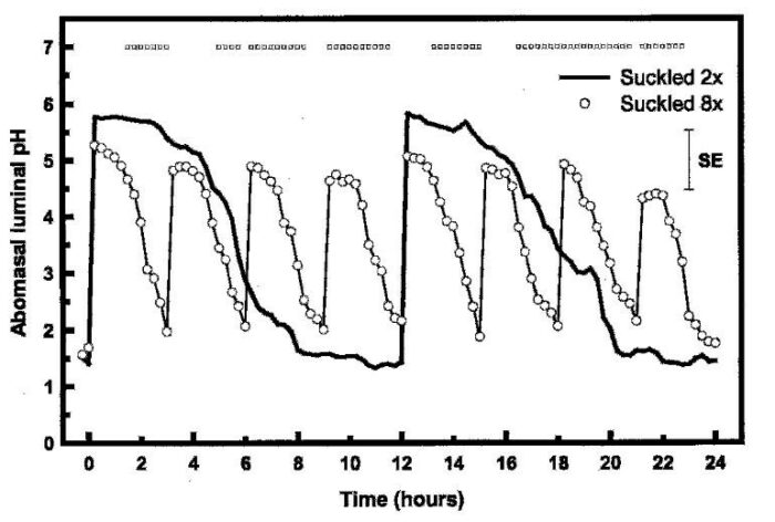 pH-Wert Entwicklung im Labmagen nach der Tränke von 2 bzw. 8 Mahlzeiten pro Tag. Tagesmenge 12% des Körpergewichtes