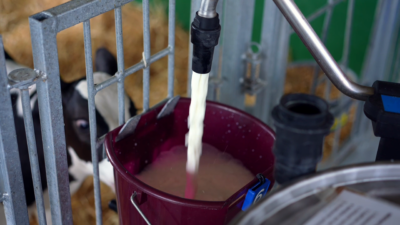 Dosing out with MilkTaxi