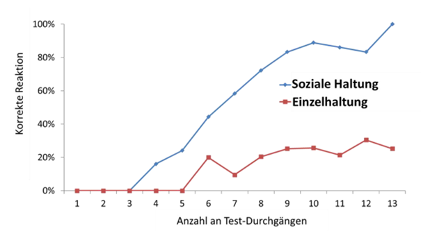 Anteil korrekter Entscheidungen nach einem Umkehrlerntest (verschiedene Farbsignale führten zu Futteranrecht)