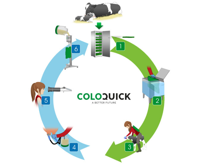 Kreislauf des ColoQuick Systems