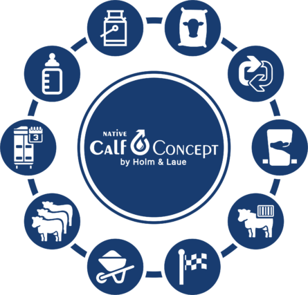 Native Calf Concept mit 10 Schritten